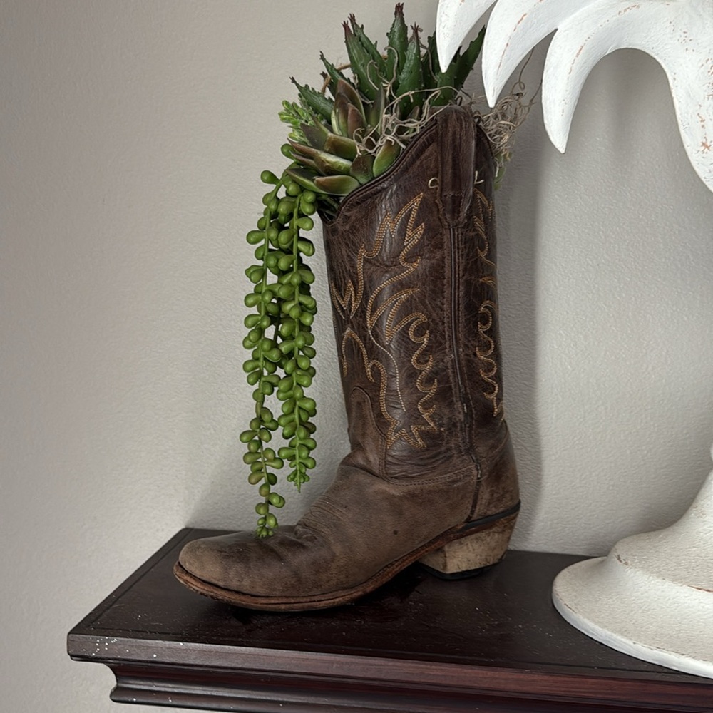 Rustic Authentic Brown Boot Planter with Green Succulents; Homemade by me! - Picture 6 of 6